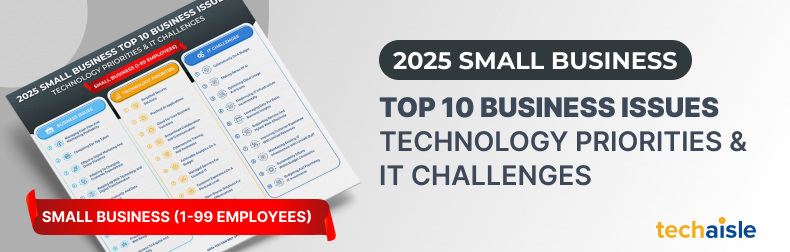 2025 Top 10 Small Business - Business Issues, IT Priorities, IT Challenges Infographic